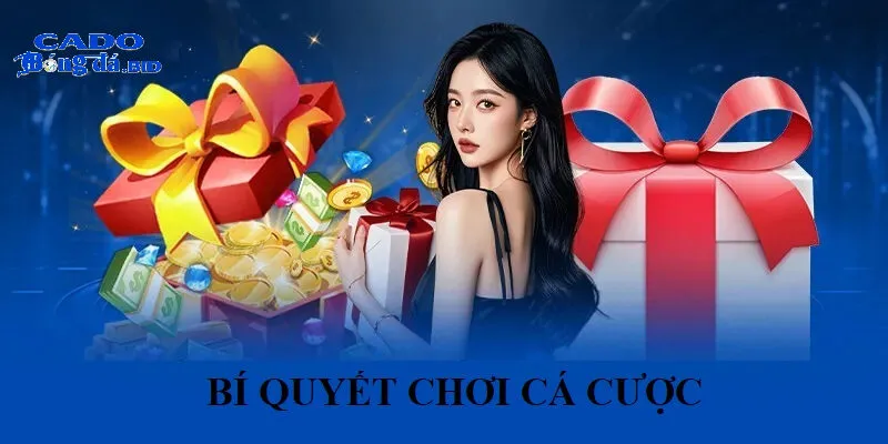 Bí Quyết Chơi Cá Cược Thắng Lớn Tại Dwin