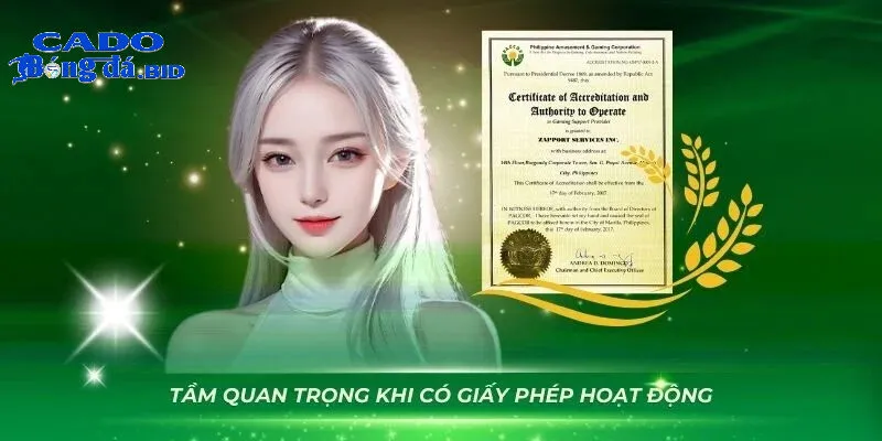 Giấy phép hoạt động và kiểm định quốc tế