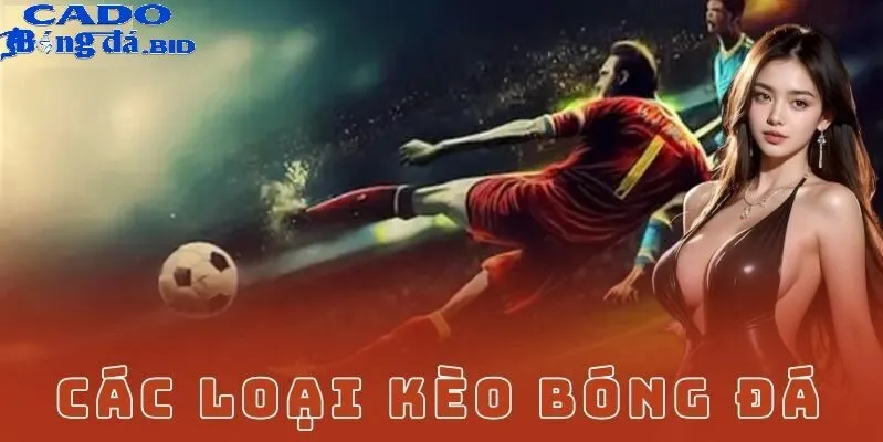 Tìm hiểu các loại kèo phổ biến trong cá độ