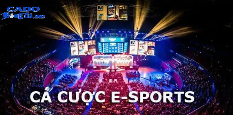 Cá cược trên các giải đấu thể thao điện tử (Esports) có được hợp pháp hóa tại Việt Nam không? 