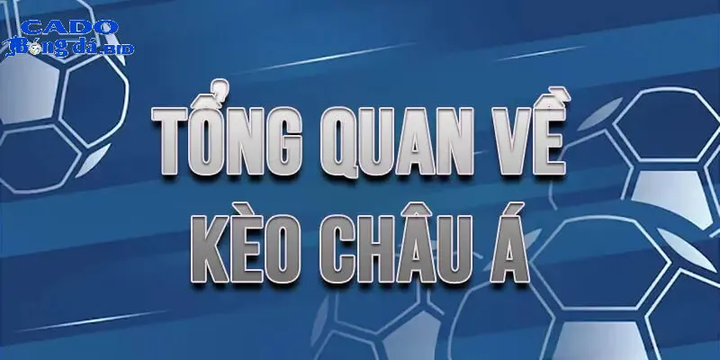 Kèo Châu Á, Châu Âu, và Tài Xỉu - Sự khác biệt và cách chơi hiệu quả