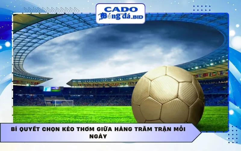 Bí quyết chọn kèo thơm giữa hàng trăm trận mỗi ngày