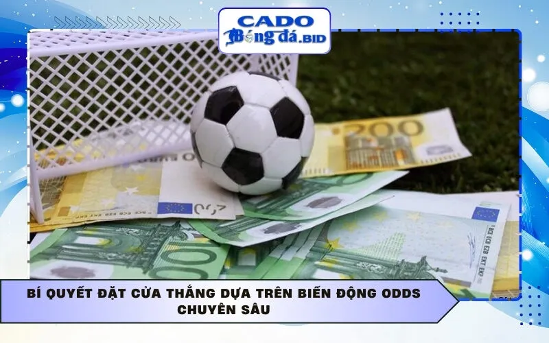 Bí quyết đặt cửa thắng dựa trên biến động Odds chuyên sâu