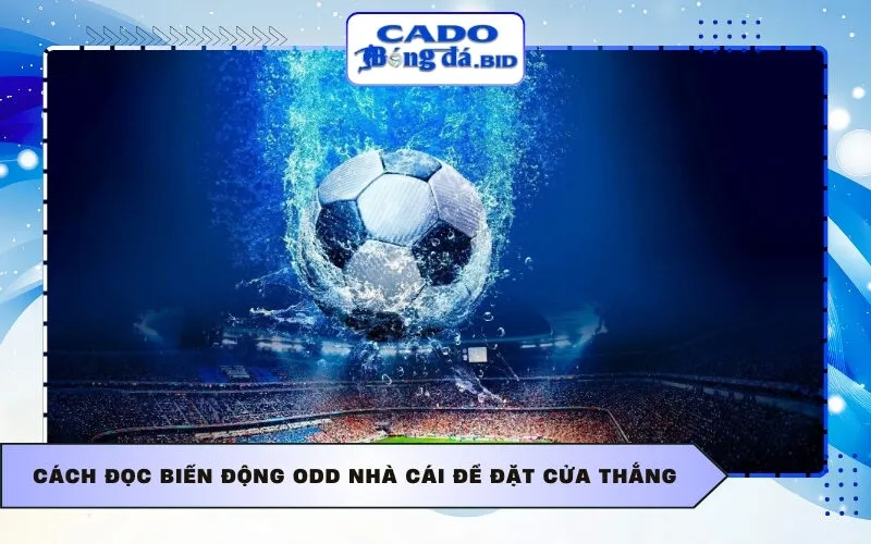 Cách đọc biến động Odd nhà cái để đặt cửa thắng