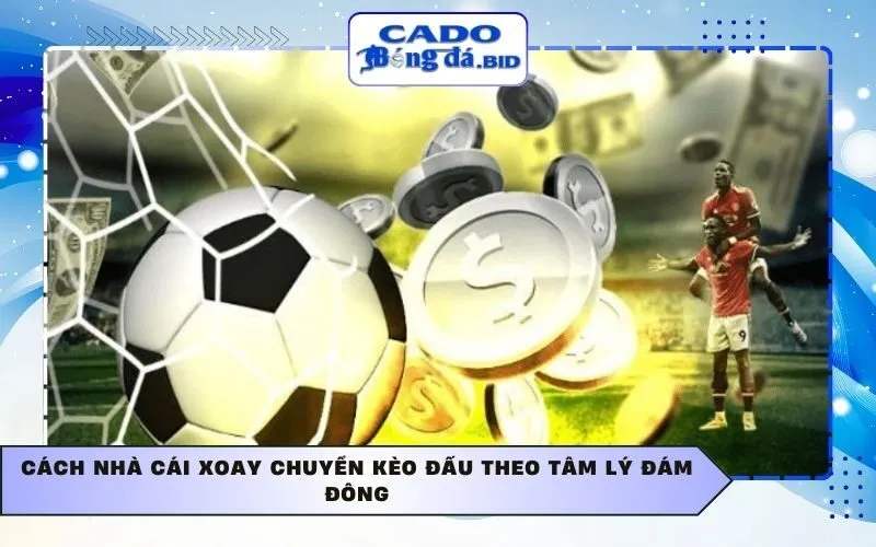 Cách nhà cái xoay chuyển kèo đấu theo tâm lý đám đông