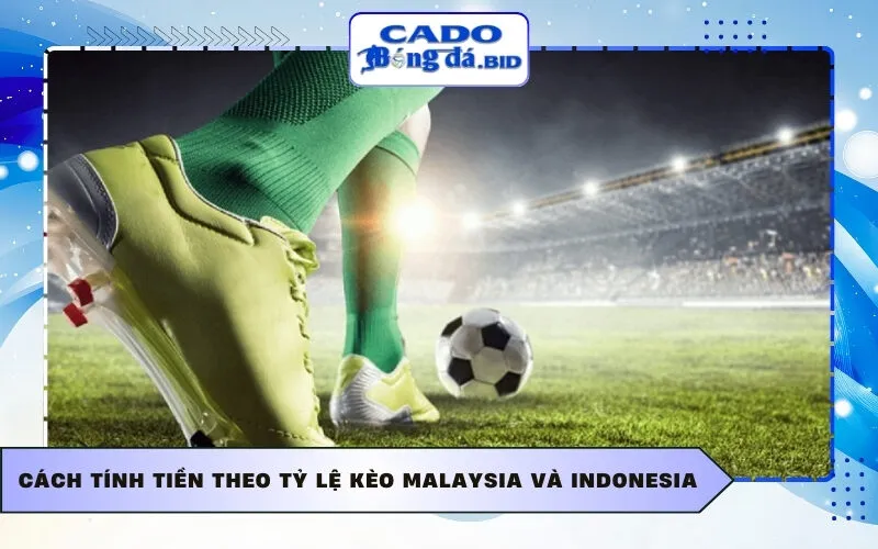 Cách tính tiền theo tỷ lệ kèo Malaysia và Indonesia
