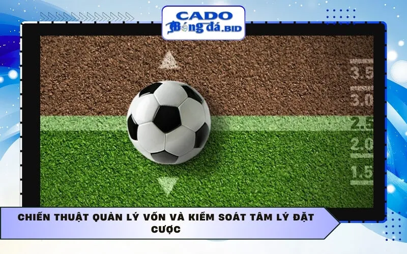 Chiến thuật quản lý vốn và kiểm soát tâm lý đặt cược