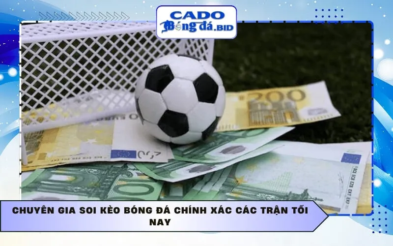 Chuyên gia Soi kèo bóng đá chính xác các trận tối nay