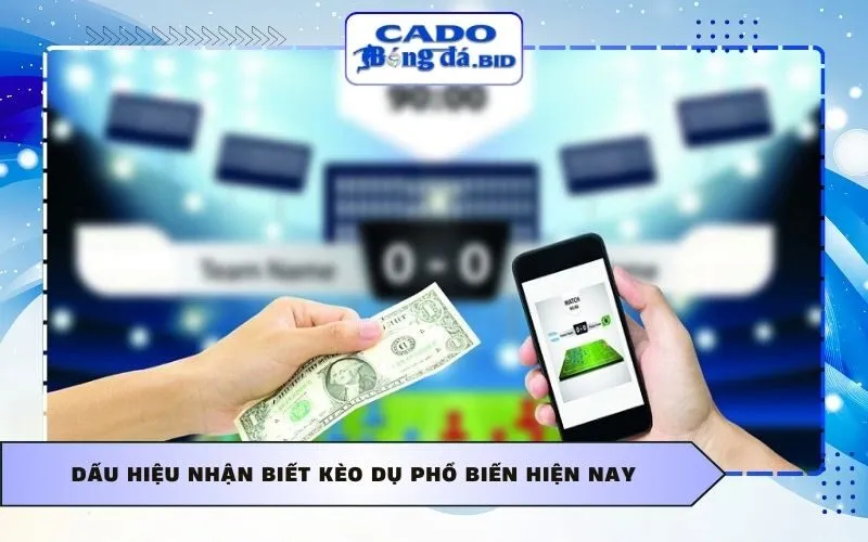 Dấu hiệu nhận biết kèo dụ phổ biến hiện nay