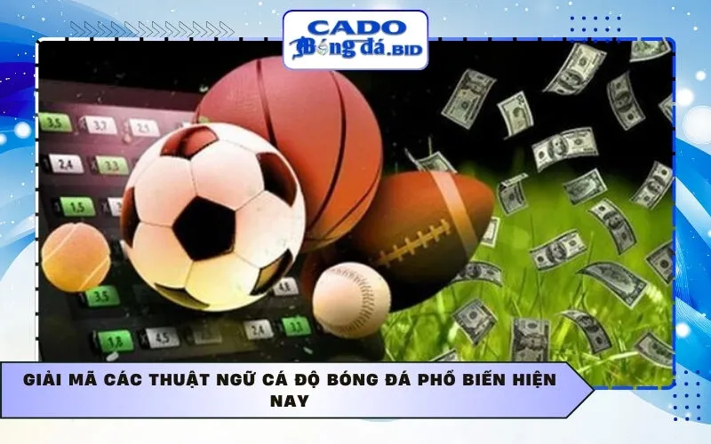 Giải mã các thuật ngữ cá độ bóng đá phổ biến hiện nay