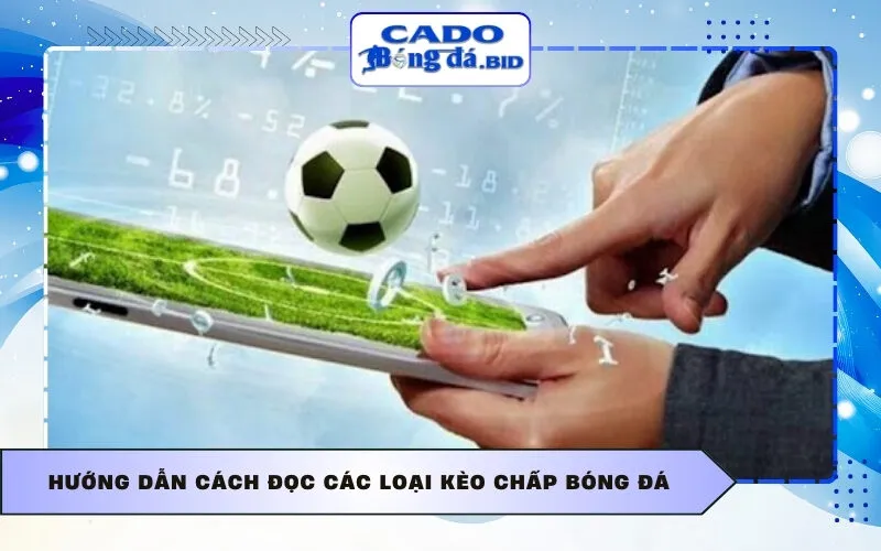 Hướng dẫn cách đọc các loại kèo chấp bóng đá