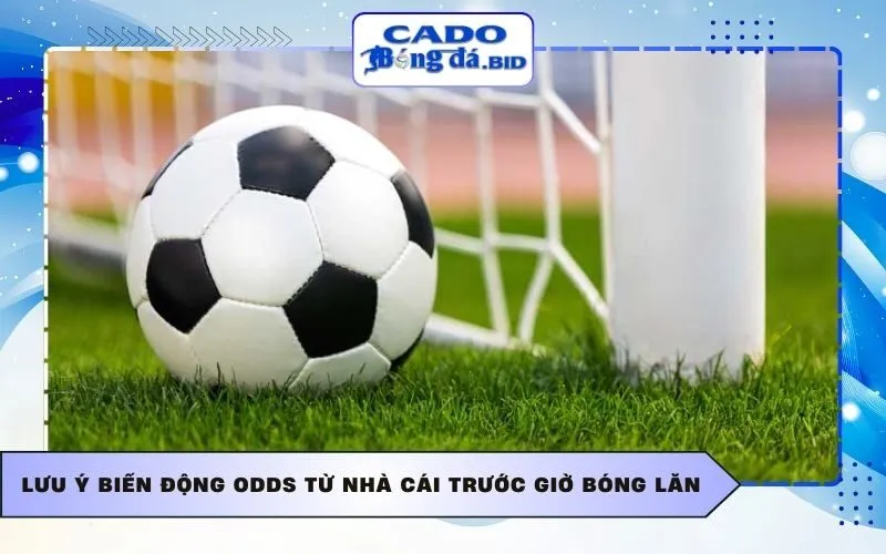 Lưu ý biến động Odds từ nhà cái trước giờ bóng lăn