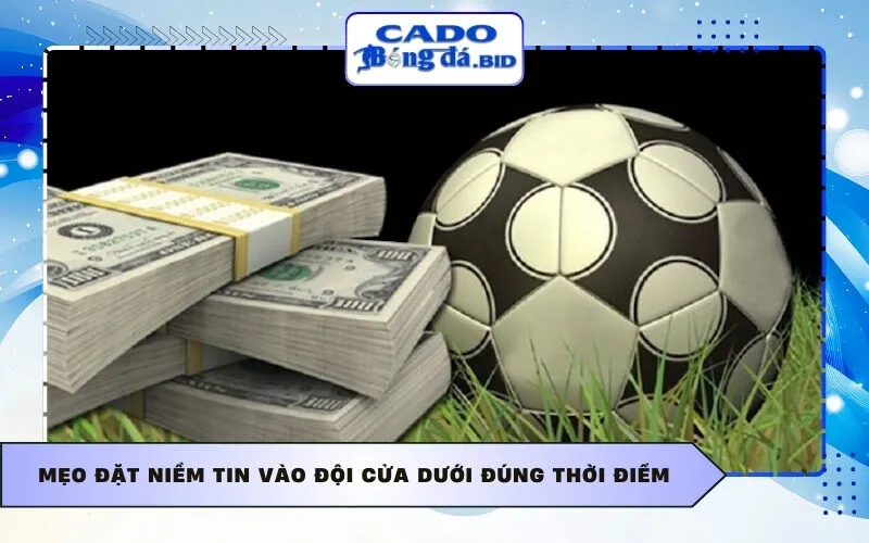 Mẹo đặt niềm tin vào đội cửa dưới đúng thời điểm