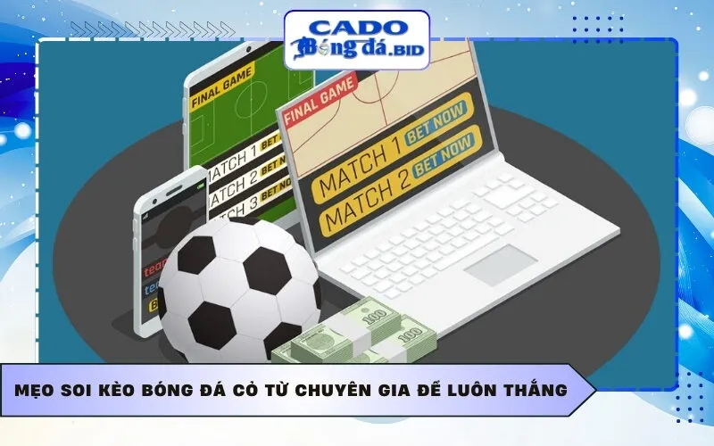 Mẹo soi kèo bóng đá cỏ từ chuyên gia để luôn thắng