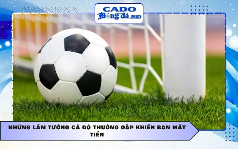 Những lầm tưởng cá độ thường gặp khiến bạn mất tiền