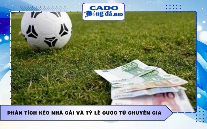 Phân tích kèo nhà cái và tỷ lệ cược từ chuyên gia