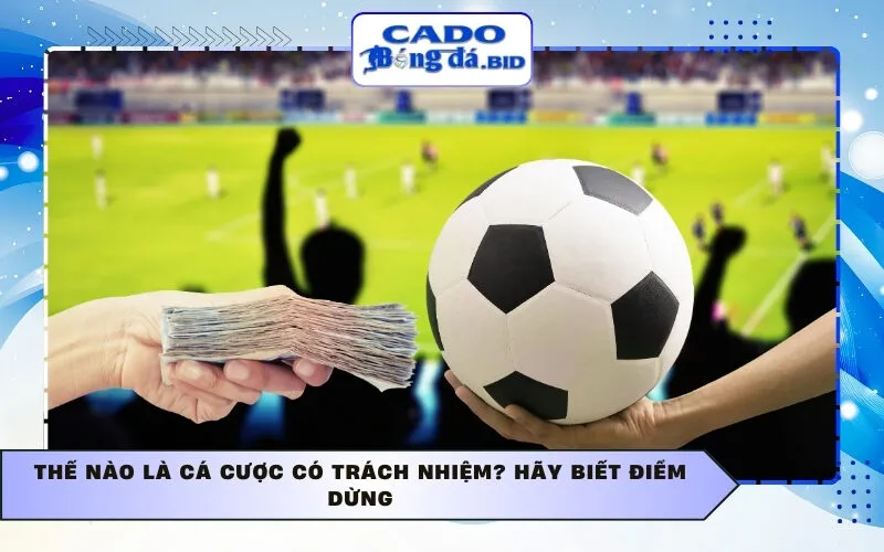 Thế nào là Cá cược có trách nhiệm? Hãy biết điểm dừng