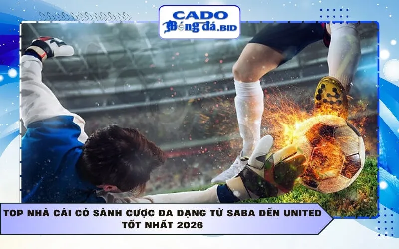 Top nhà cái có sảnh cược đa dạng từ Saba đến United tốt nhất 2026
