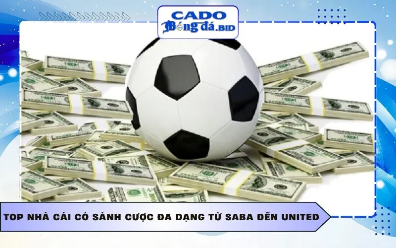 Top nhà cái có sảnh cược đa dạng từ Saba đến United
