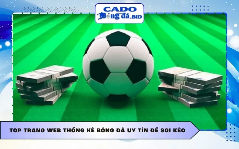 Top trang web thống kê bóng đá uy tín để soi kèo